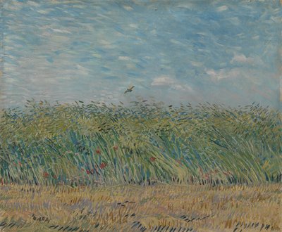 Korenveld met Patrijs, 1887 door Vincent van Gogh